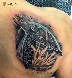 Tatuaje tortuga en la espalda Alex Baens